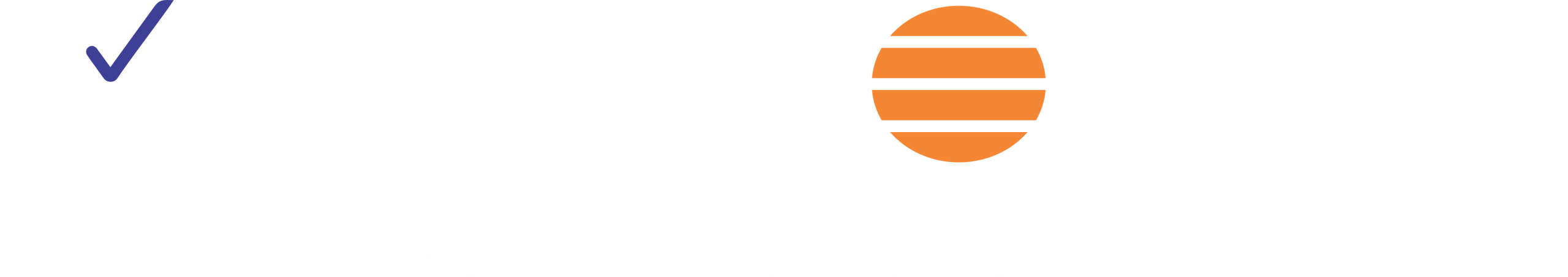 MELTRONET: Software Company in Pune